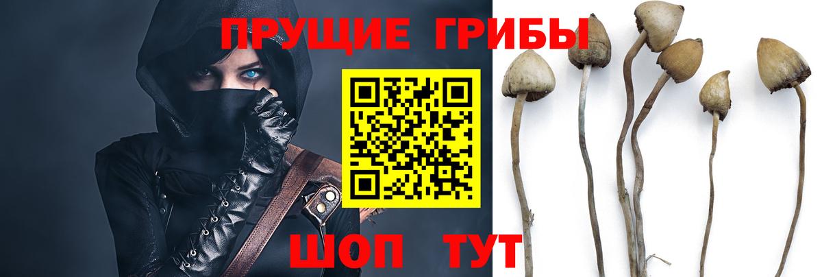 Галлюциногенные грибы Magic Shrooms Красный Сулин